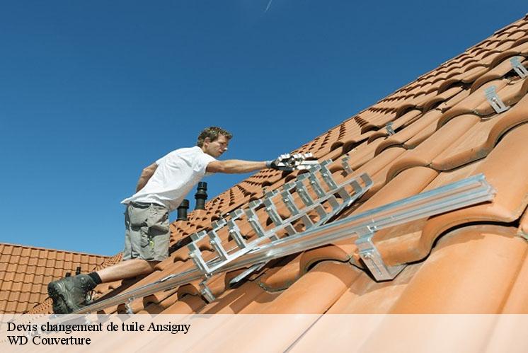 devis-changement-de-tuile