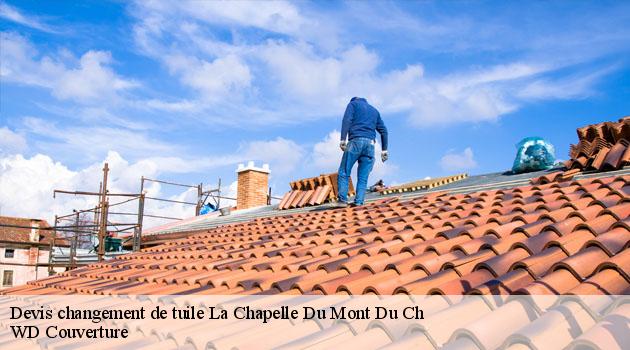 devis-changement-de-tuile