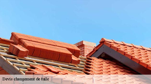 devis-changement-de-tuile