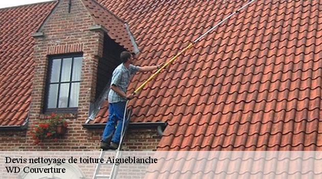 devis-nettoyage-de-toiture