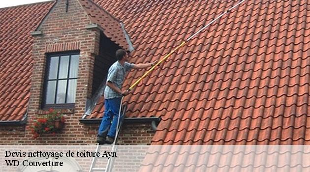 devis-nettoyage-de-toiture