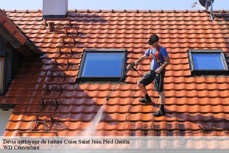 devis-nettoyage-de-toiture