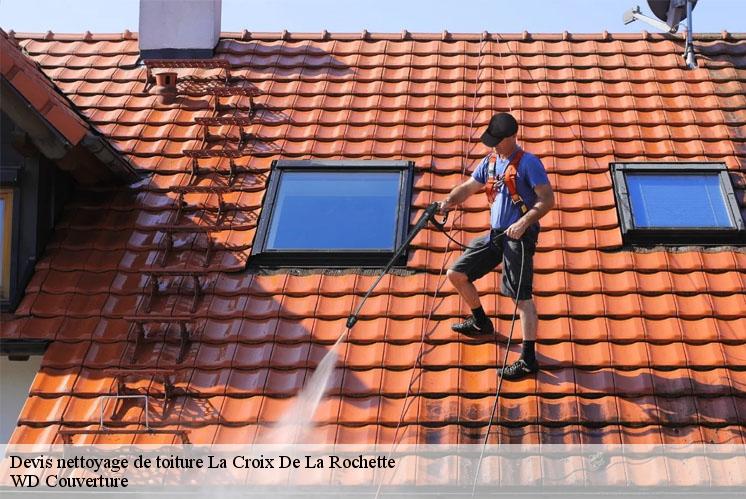 devis-nettoyage-de-toiture