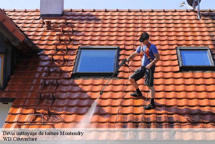 devis-nettoyage-de-toiture