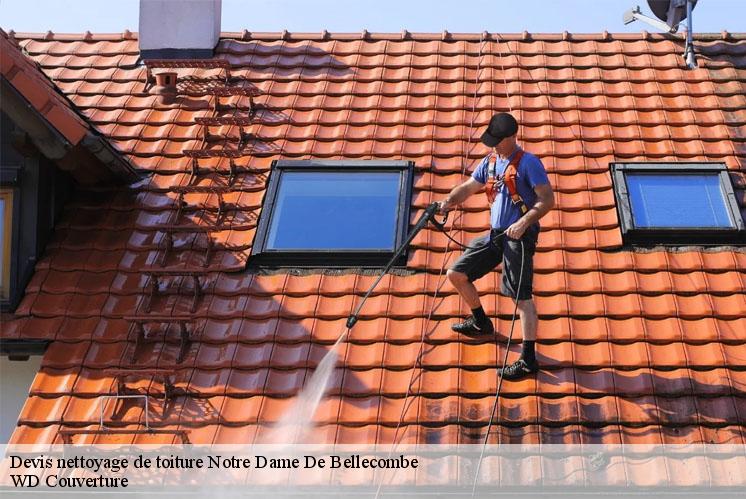 devis-nettoyage-de-toiture