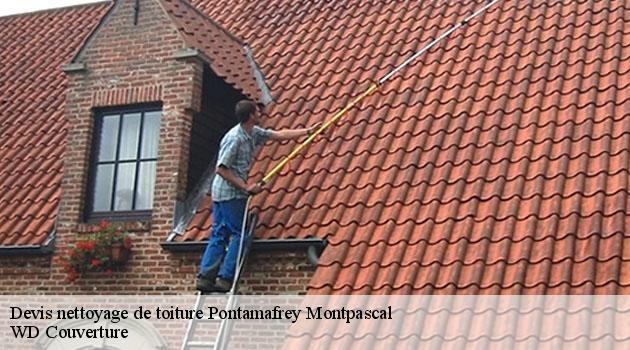 devis-nettoyage-de-toiture