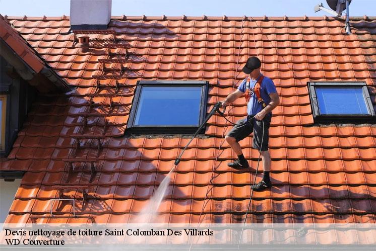 devis-nettoyage-de-toiture