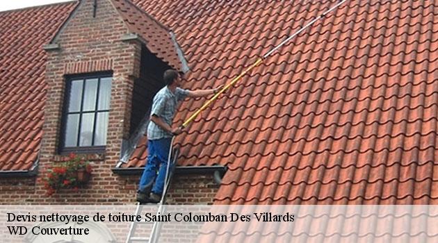 devis-nettoyage-de-toiture