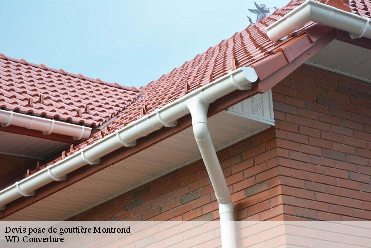 devis-pose-de-gouttiere